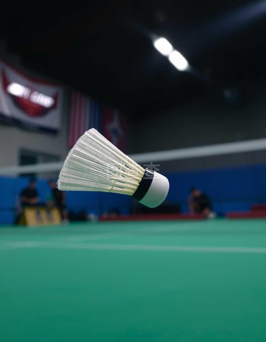 许多印度选 许多印度选